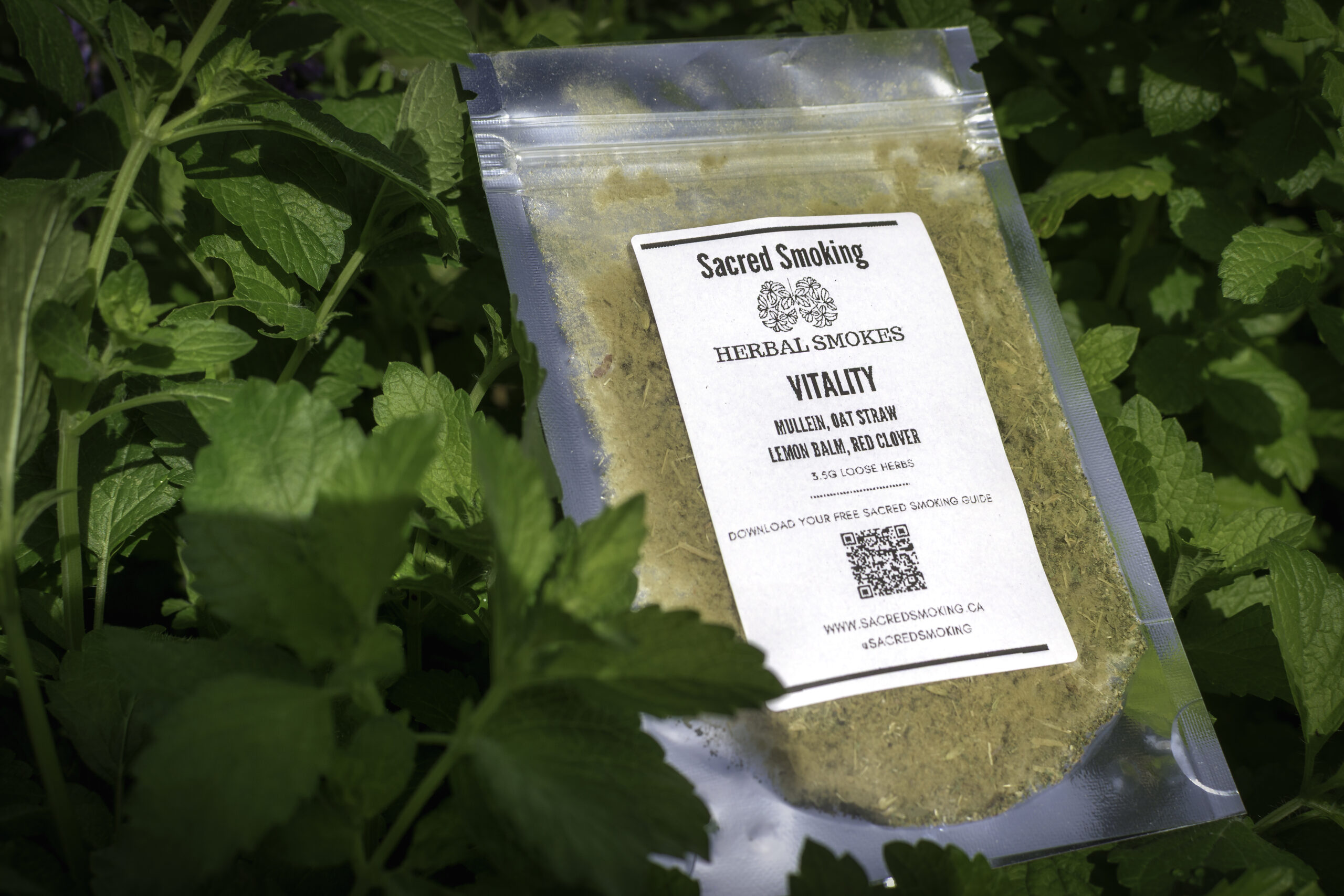 pouch of loose herbs in a bush of lemon balm